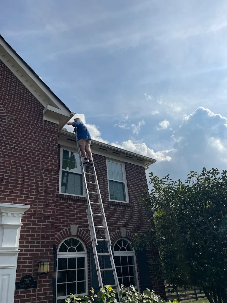 Gutter cleaning details