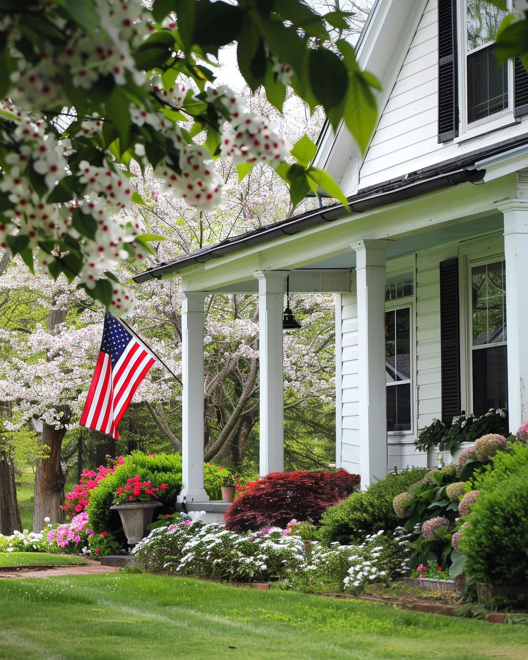 Cincinnati East Window & Gutter Cleaning serving Withamsville