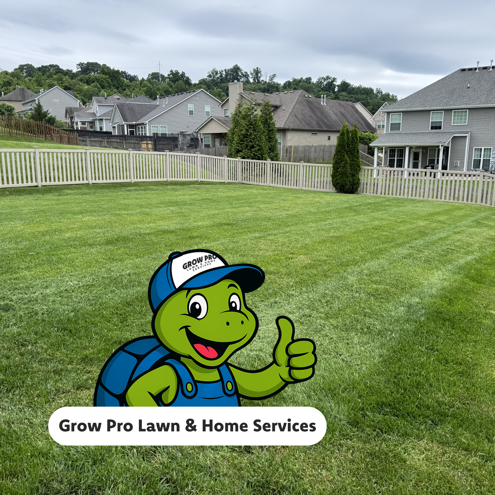 How to find the best lawn care service