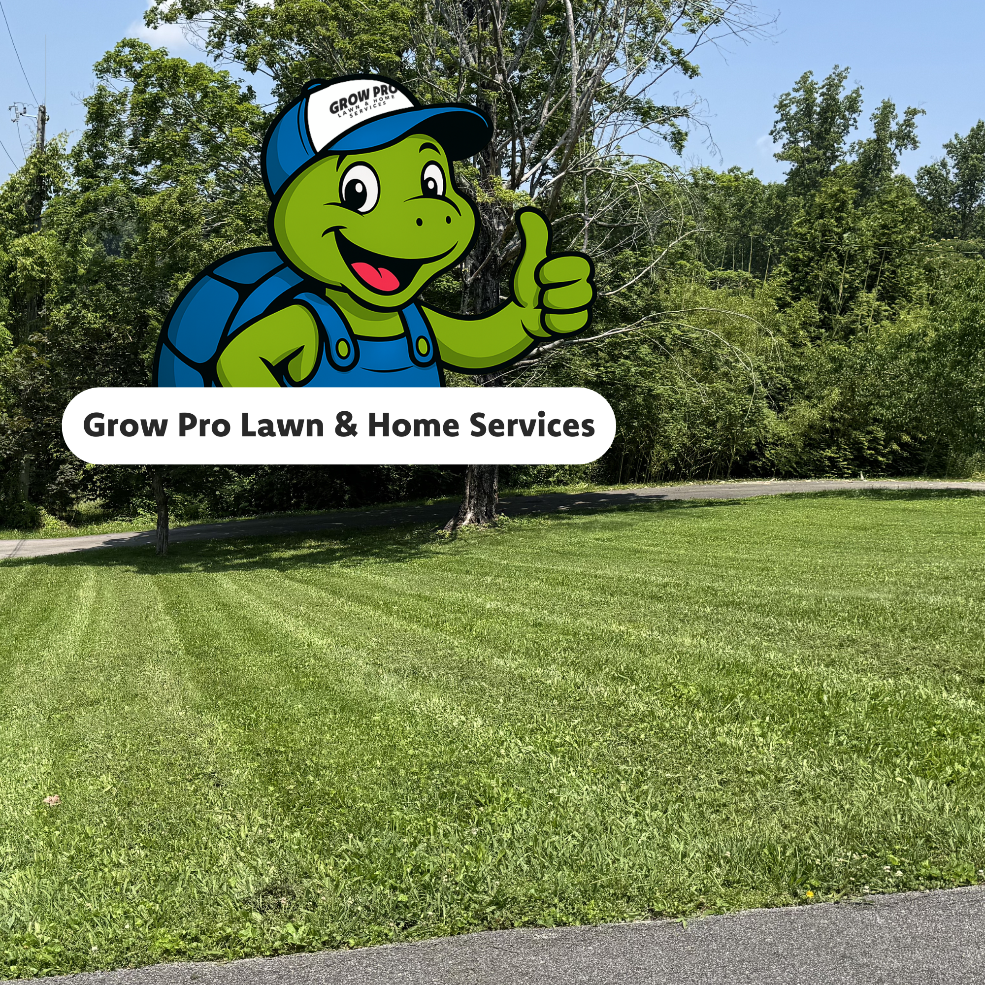 How to choose a reliable lawn care service