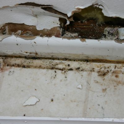  in Nassau County, NY