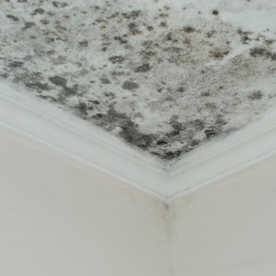  in Suffolk County, NY