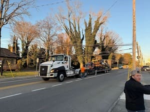 {{ custom_values.service_3 }} in {{custom_values.area_2})