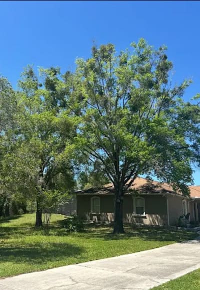 {{ custom_values.service_4 }} in {{custom_values.area_3})