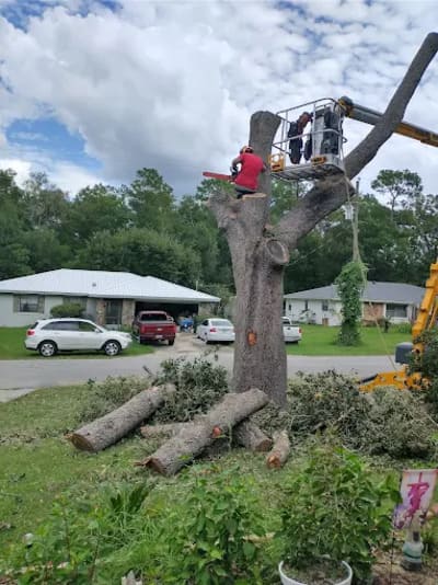 {{ custom_values.service_4 }} in {{custom_values.area_1})