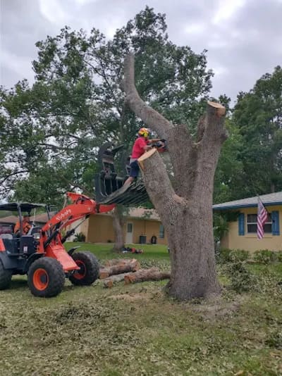 {{ custom_values.service_3 }} in {{custom_values.area_3})