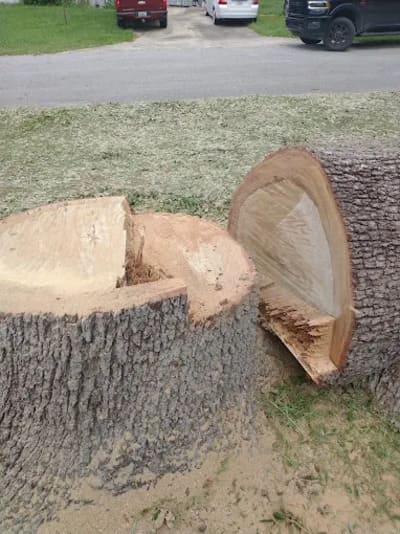 {{ custom_values.service_2 }} in {{custom_values.area_3})