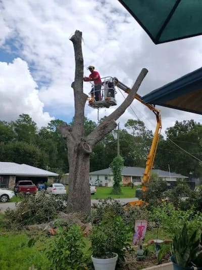 {{ custom_values.service_1 }} in {{custom_values.area_3})