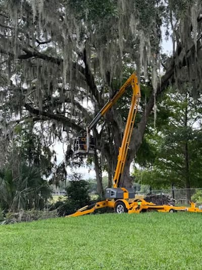 {{ custom_values.service_4 }} in {{custom_values.area_2})