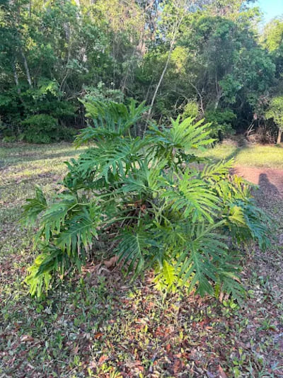 {{ custom_values.service_3 }} in {{custom_values.area_1})