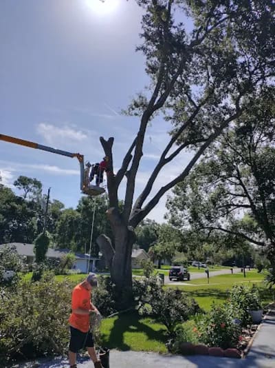 {{ custom_values.service_2 }} in {{custom_values.area_1})