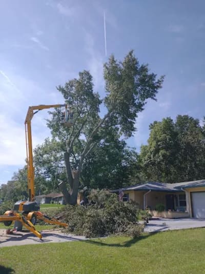 {{ custom_values.service_3 }} in {{custom_values.area_2})