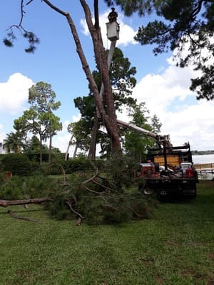 {{ custom_values.service_4 }} in {{custom_values.area_6})