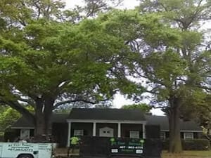 {{ custom_values.service_1 }} in {{custom_values.area_4})