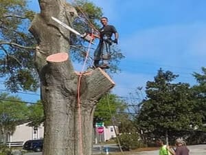 {{ custom_values.service_4 }} in {{custom_values.area_4})