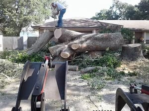 {{ custom_values.service_1 }} in {{custom_values.area_5})