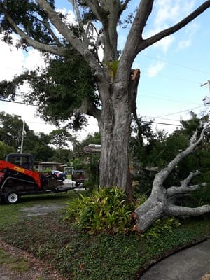 {{ custom_values.service_3 }} in {{custom_values.area_7})