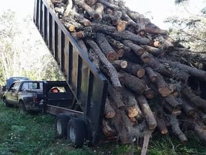 {{ custom_values.service_2 }} in {{custom_values.area_5})