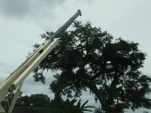 {{ custom_values.service_1 }} in {{custom_values.area_2})