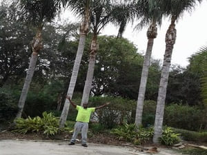 {{ custom_values.service_2 }} in {{custom_values.area_1})