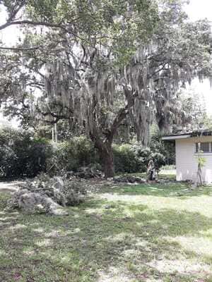 {{ custom_values.service_2 }} in {{custom_values.area_7})