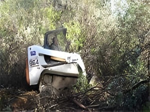 {{ custom_values.service_4 }} in {{custom_values.area_5})