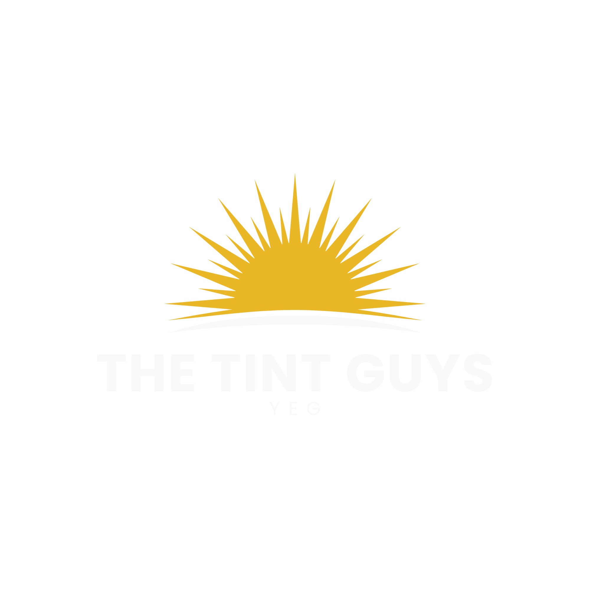 The Tint Guys YEG