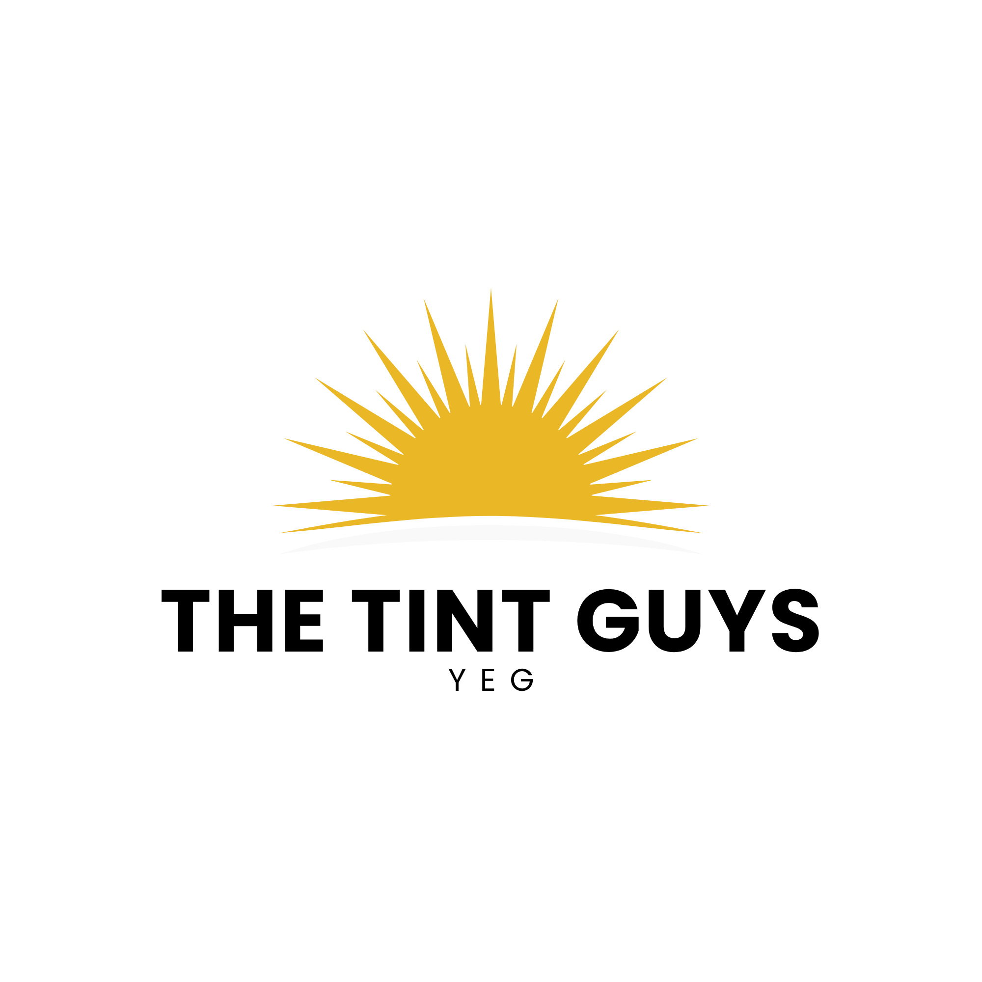 The Tint Guys YEG logo