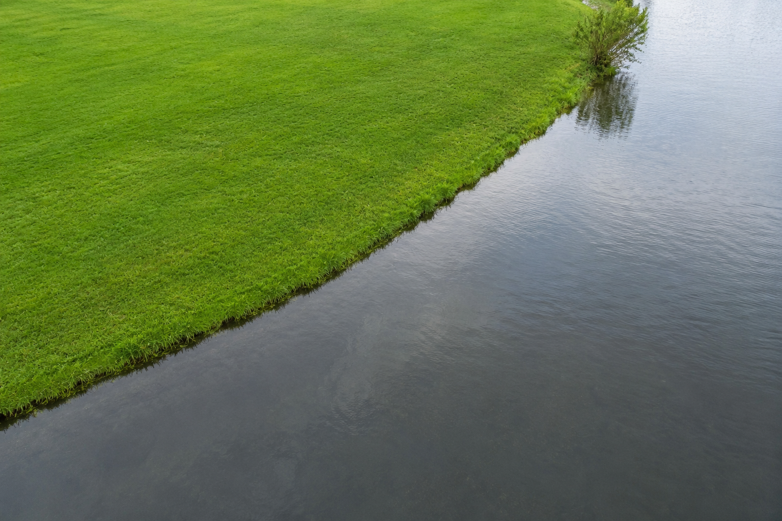 Pond Restoration in Indianapolis