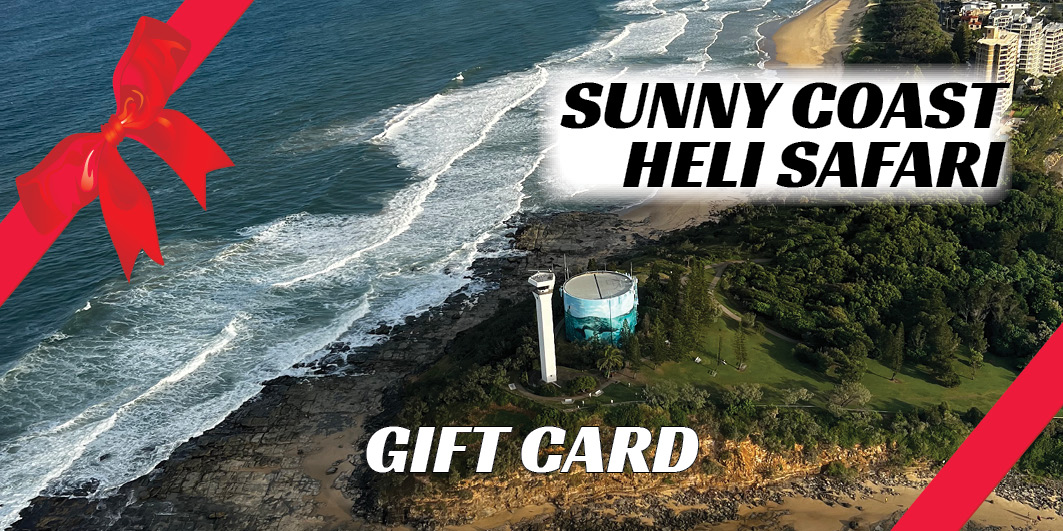 Sunny Coast Heli Safari Gift Card — Oceanview Helicopters