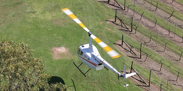 Sunny Coast Safari helicopter tour Caloundra to Noosa
