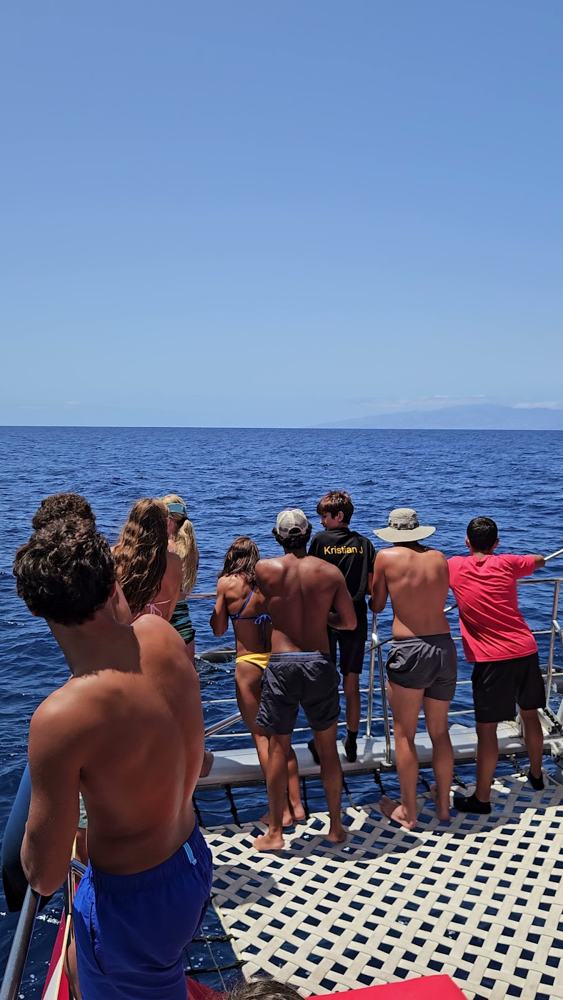 Swimmers on the boat deck off Tenerife, whales off the bow