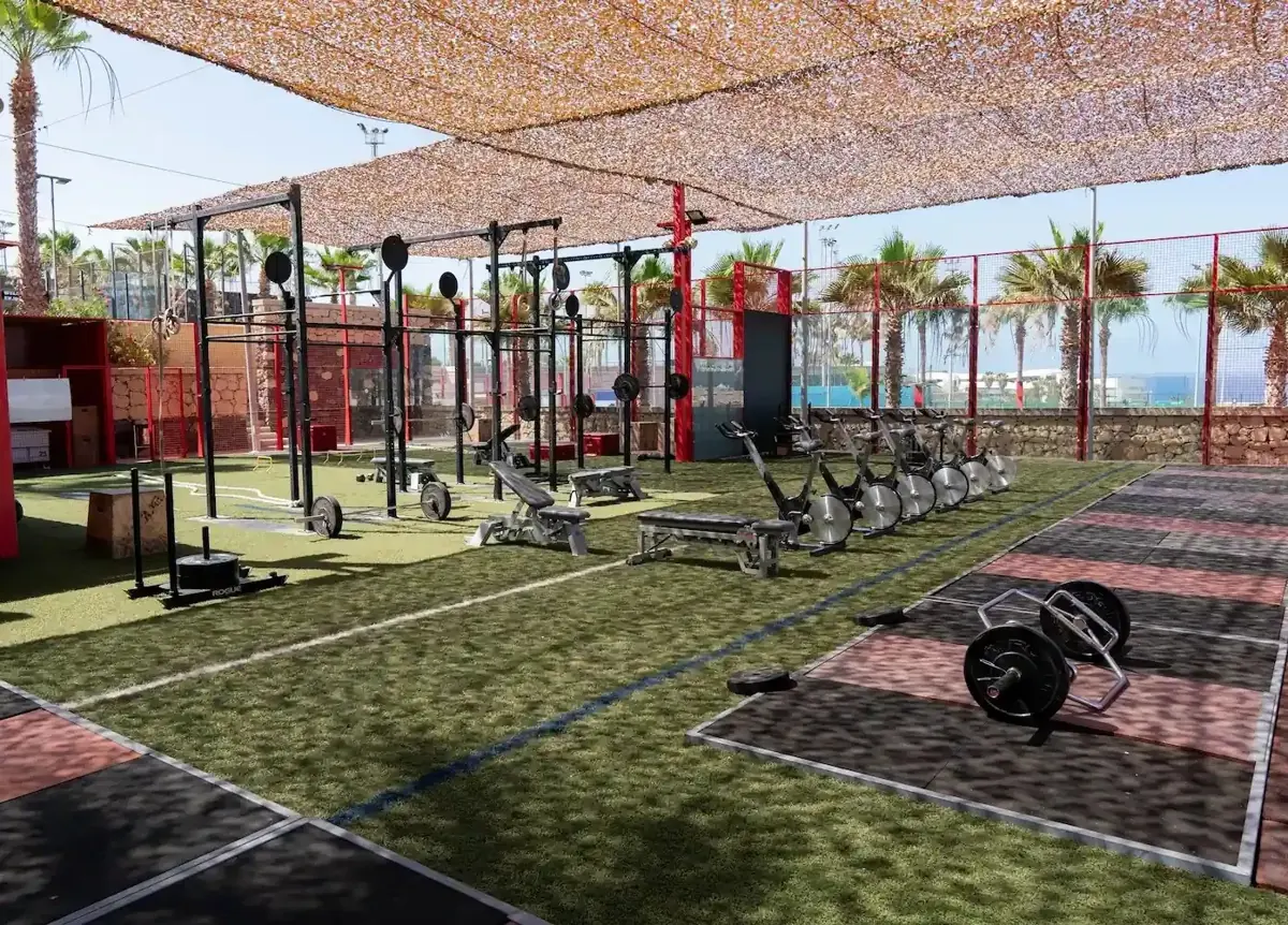 The outdoor gym with palms and sea