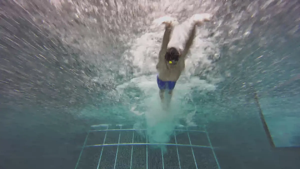 Butterfly head-on into the current, under water