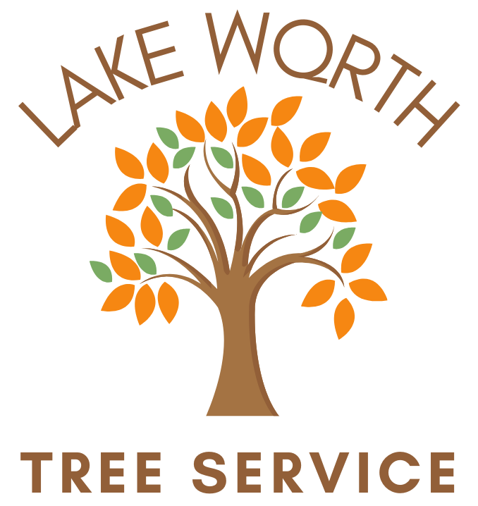 Lake Worth Tree Services