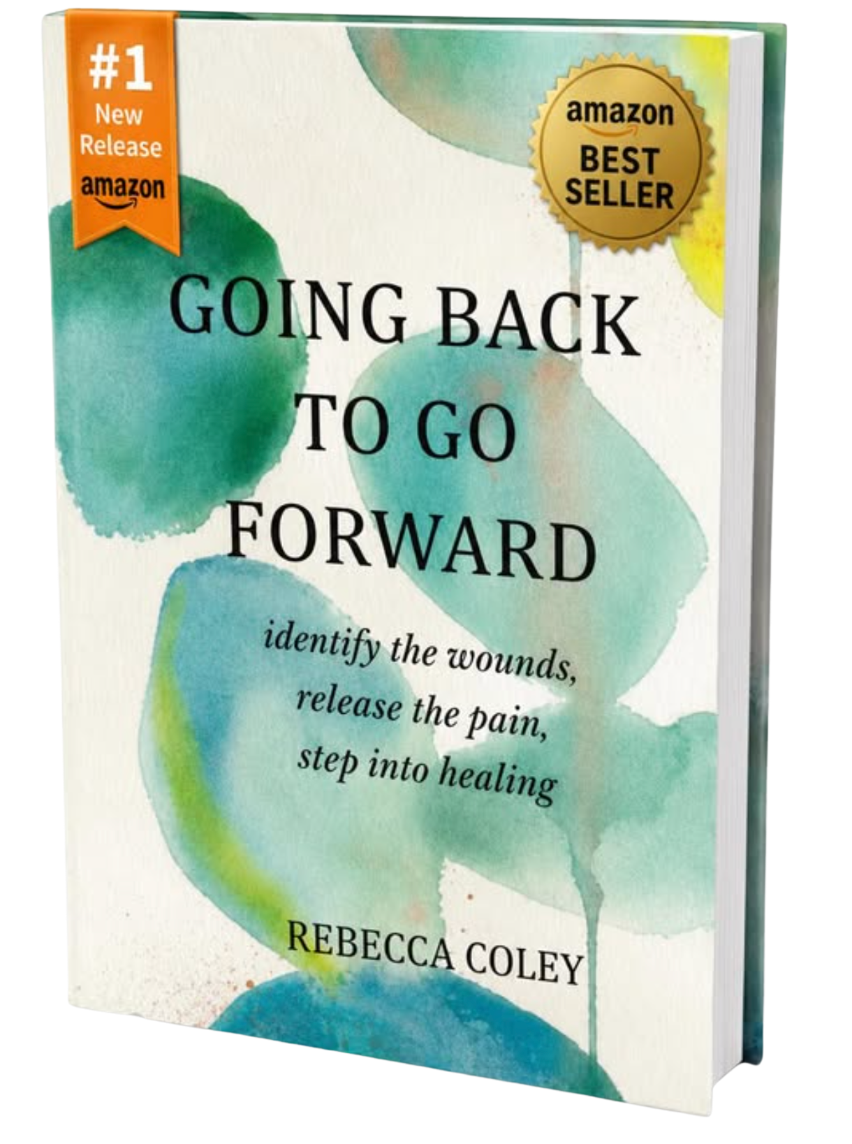 Going Back to Go Forward: Where Jesus Healed What Trauma Broke by Rebecca Coley