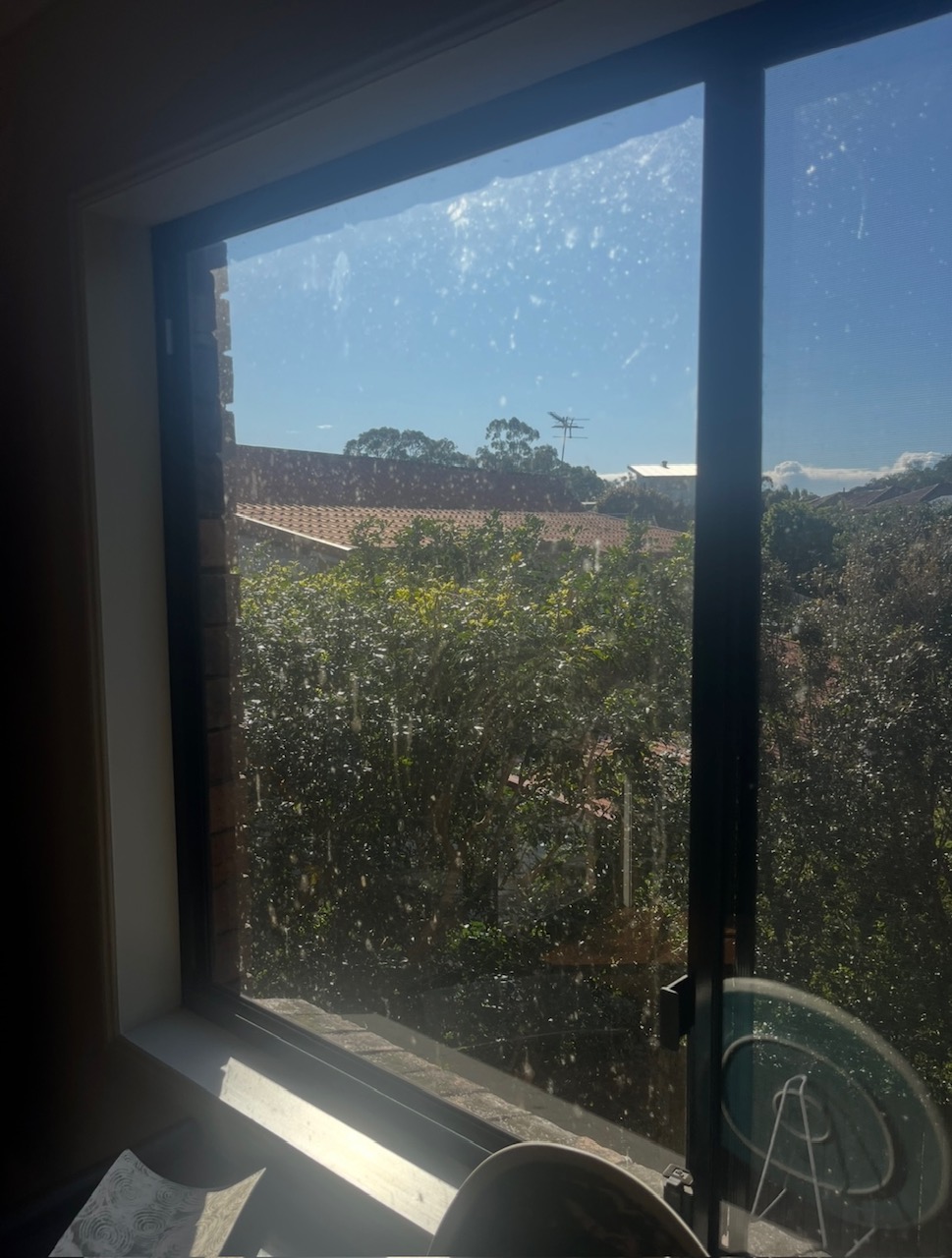 Before Window Cleaning