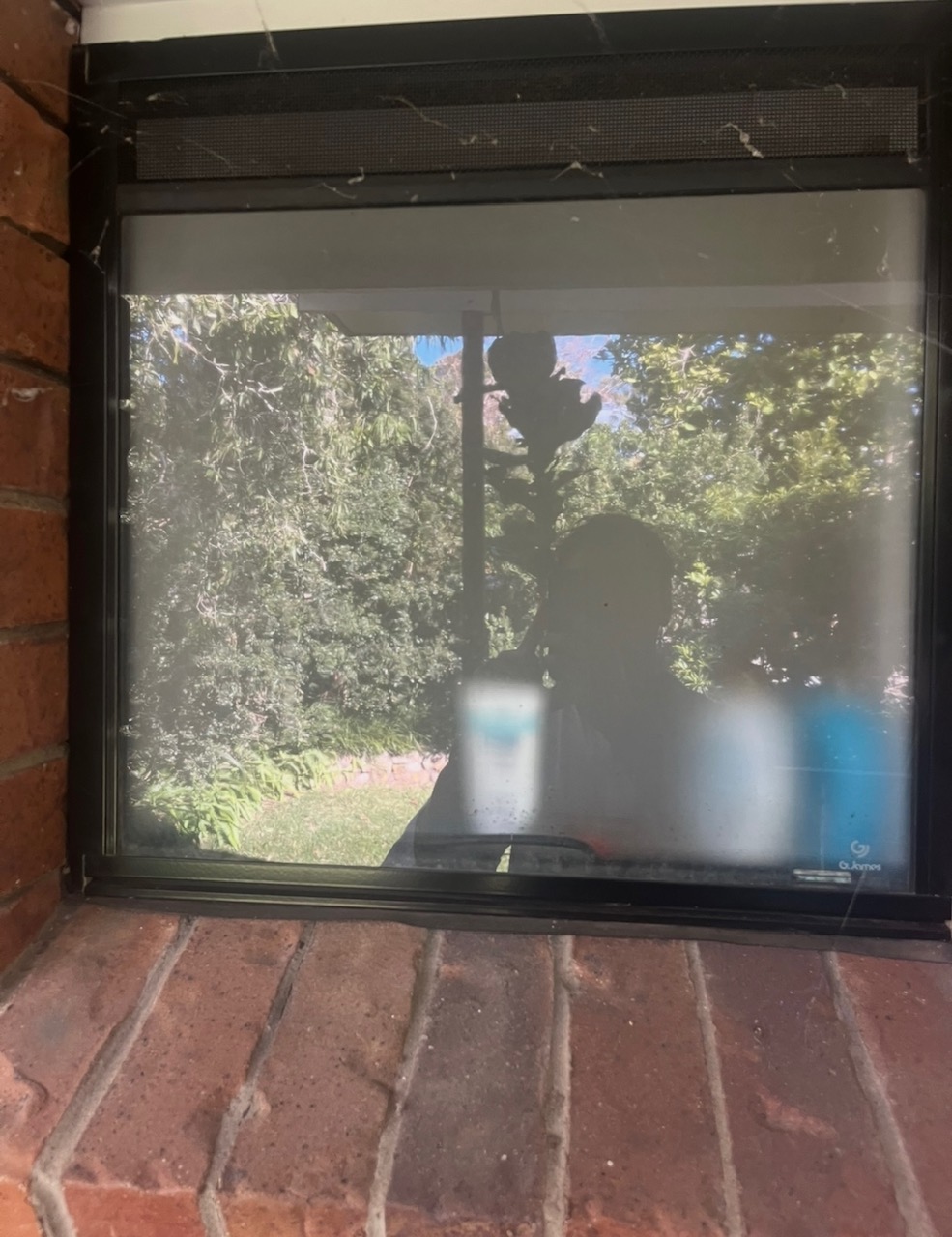 Before Window Cleaning