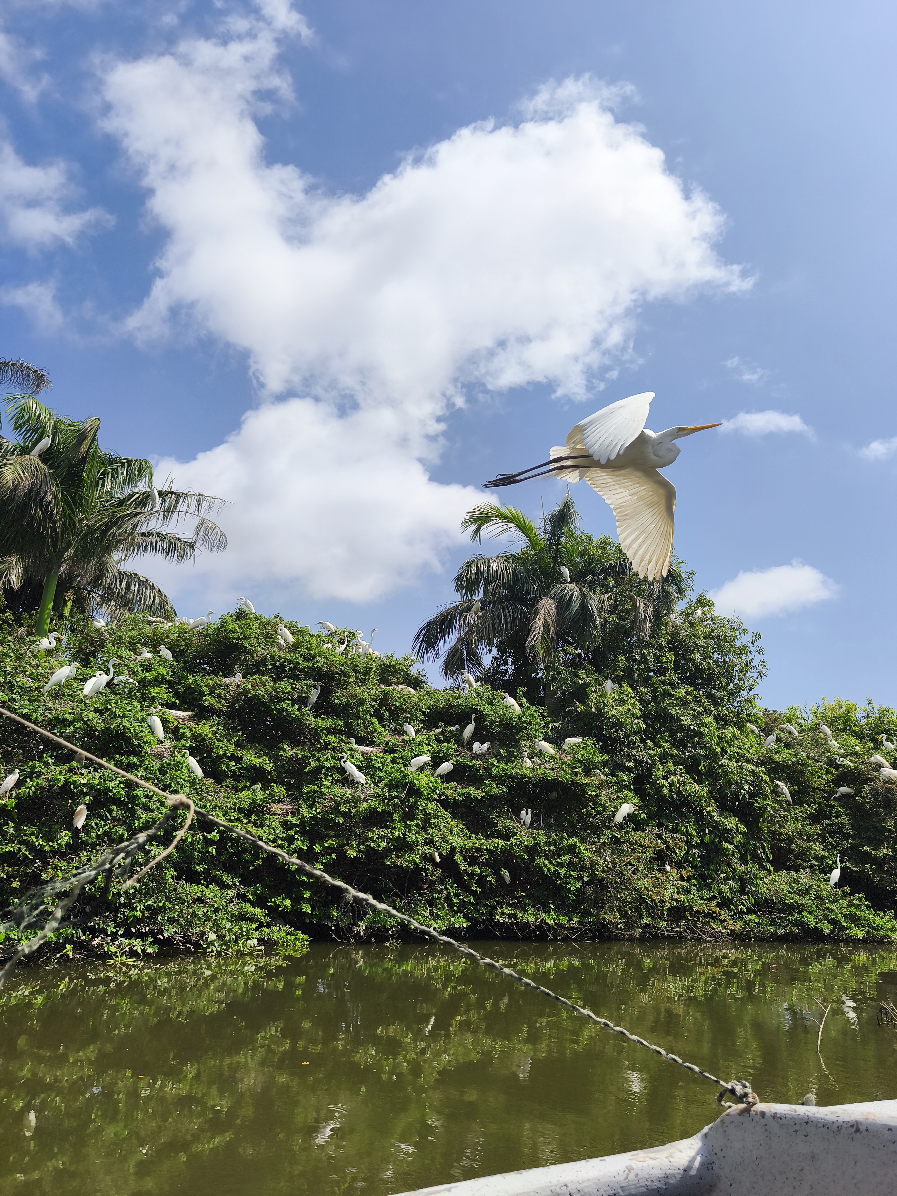 Tour del Atardecer río Magdalena Barranquilla