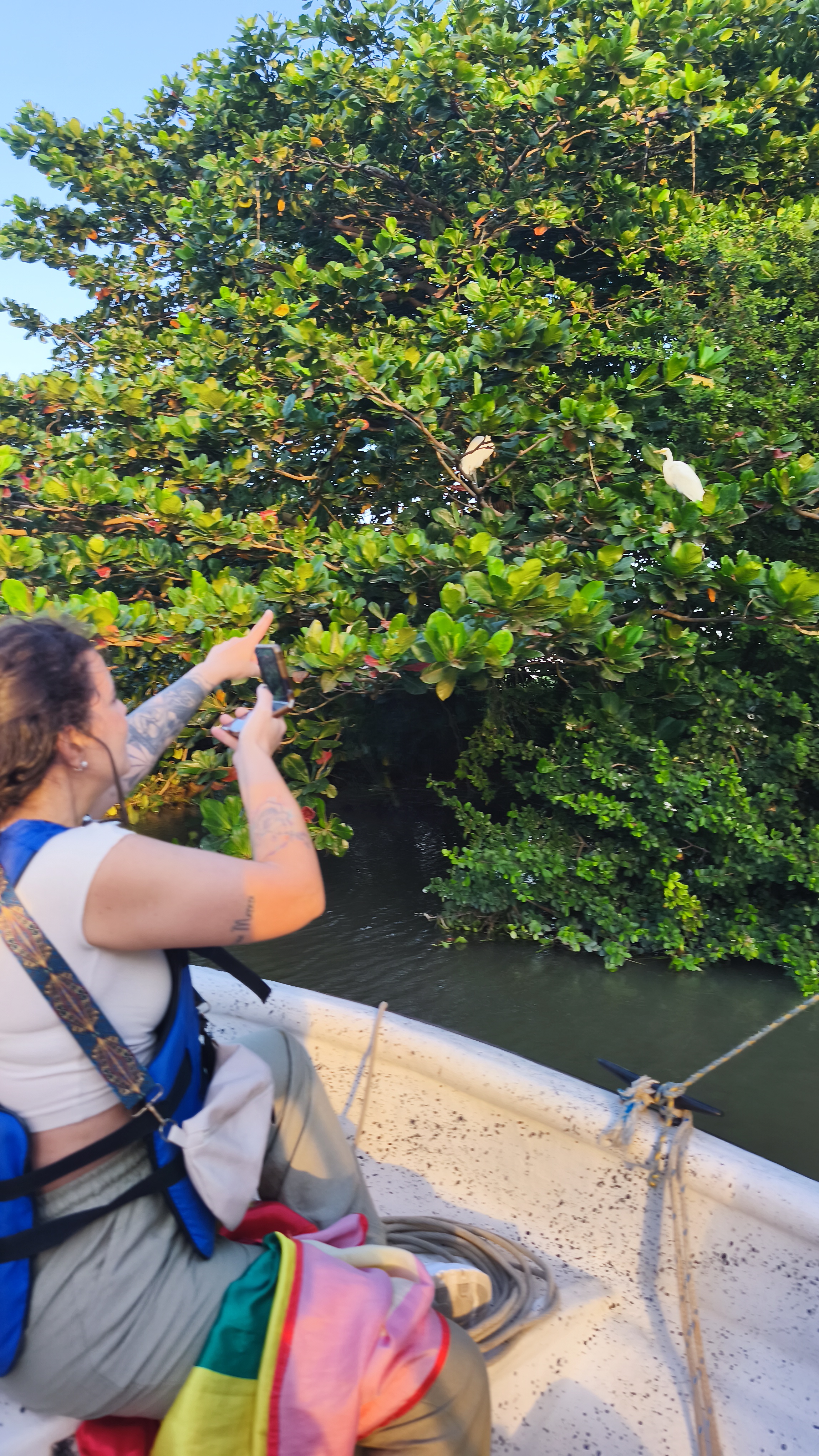 Santuario de las Garzas atardecer Aquatours
