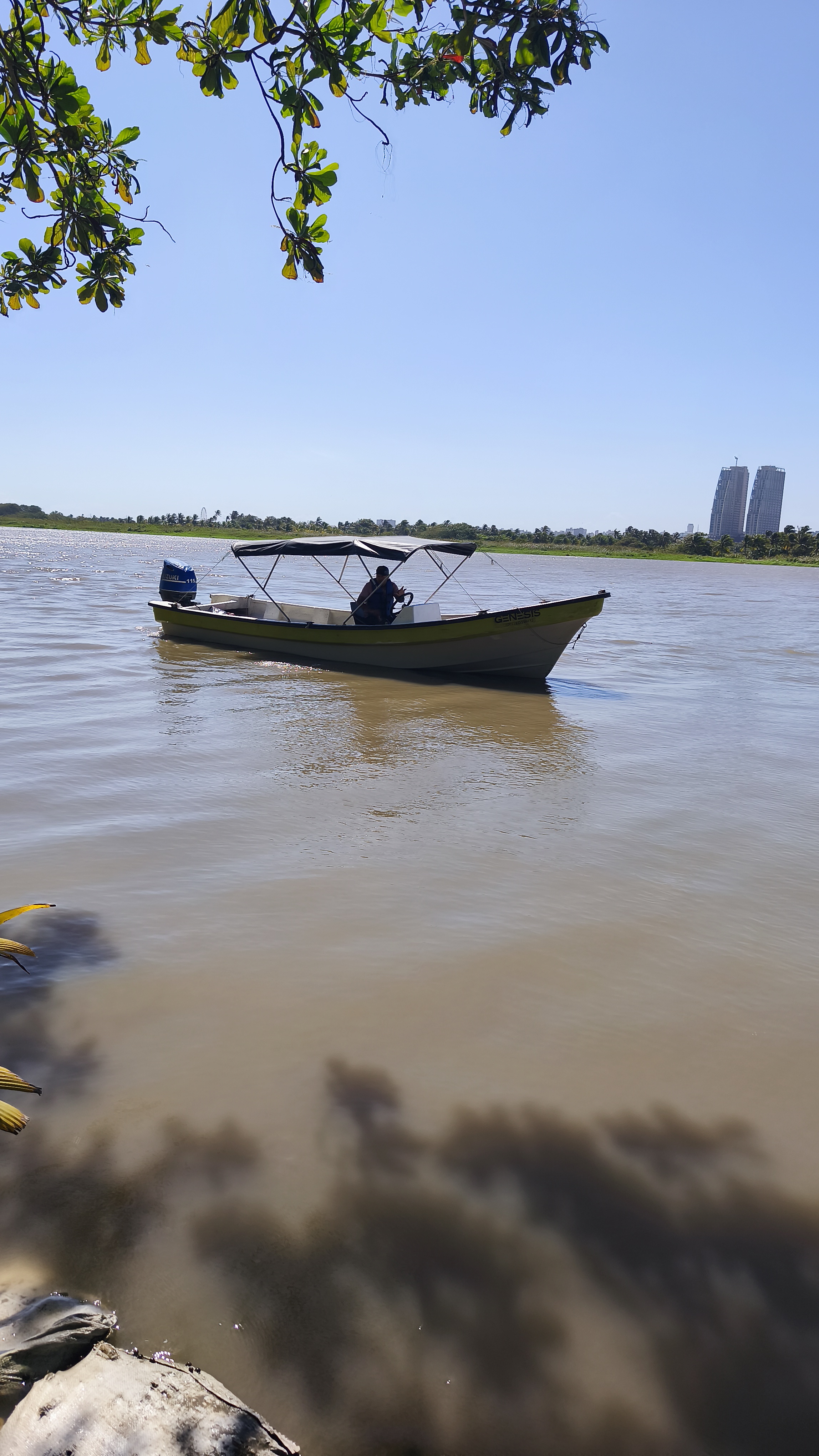 Manglar Isla Salamanca tour Colombia