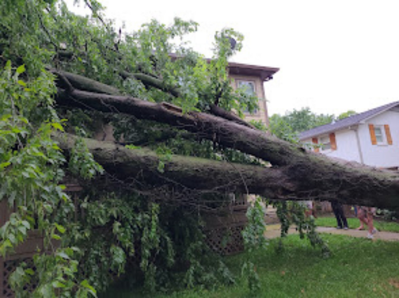 Emergency storm damage roof repair and tarping by Terry Woodall Roofing in Middle Tennessee