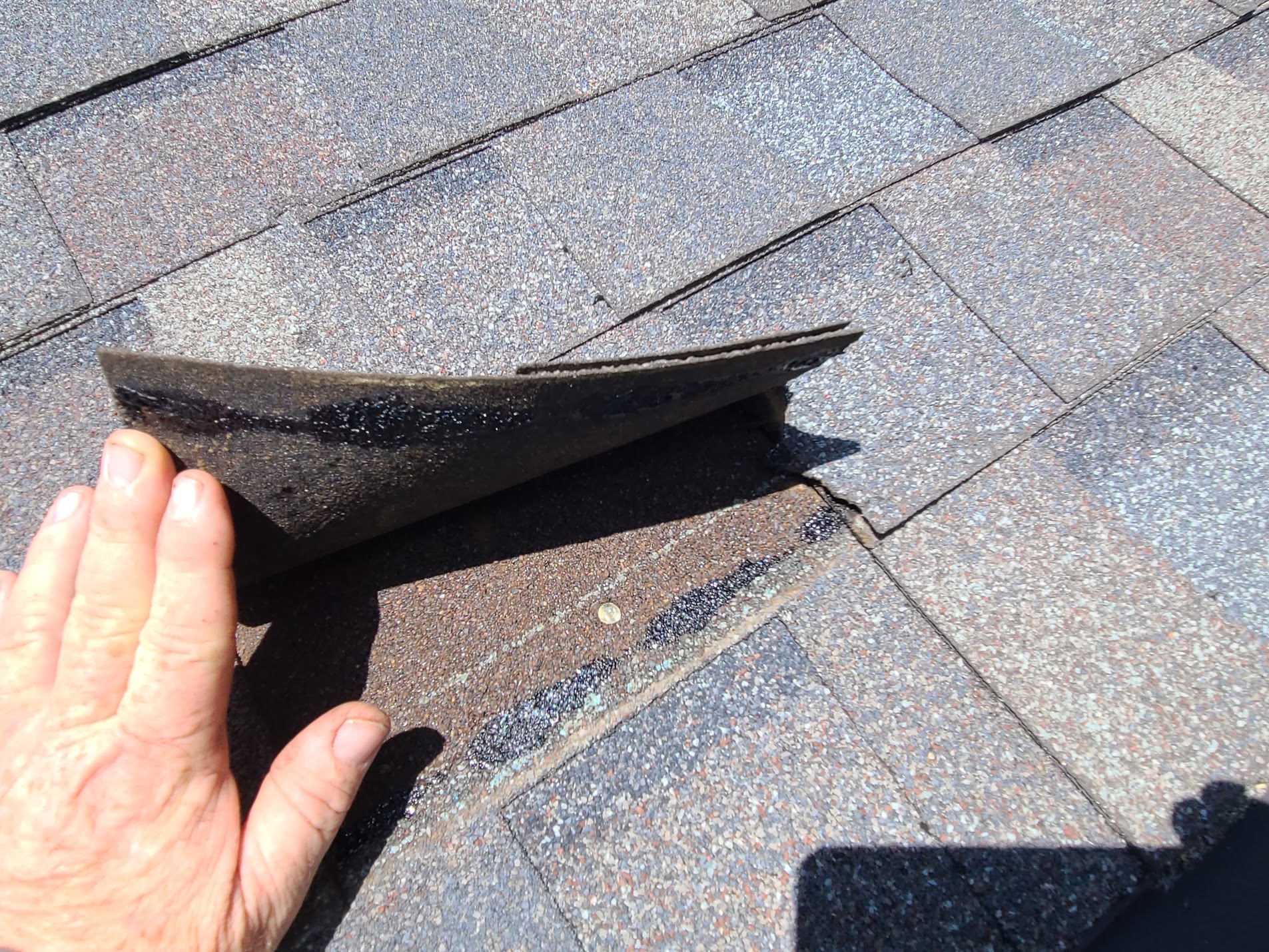 Storm-damaged Middle Tennessee roof with wind-torn and hail-bruised asphalt shingles