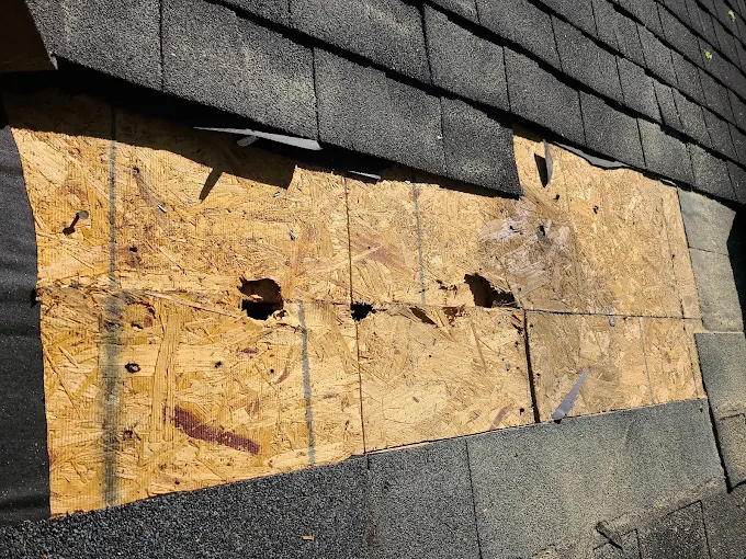 Hail Damage Assessment — Bellevue, TN, completed by Terry Woodall Roofing
