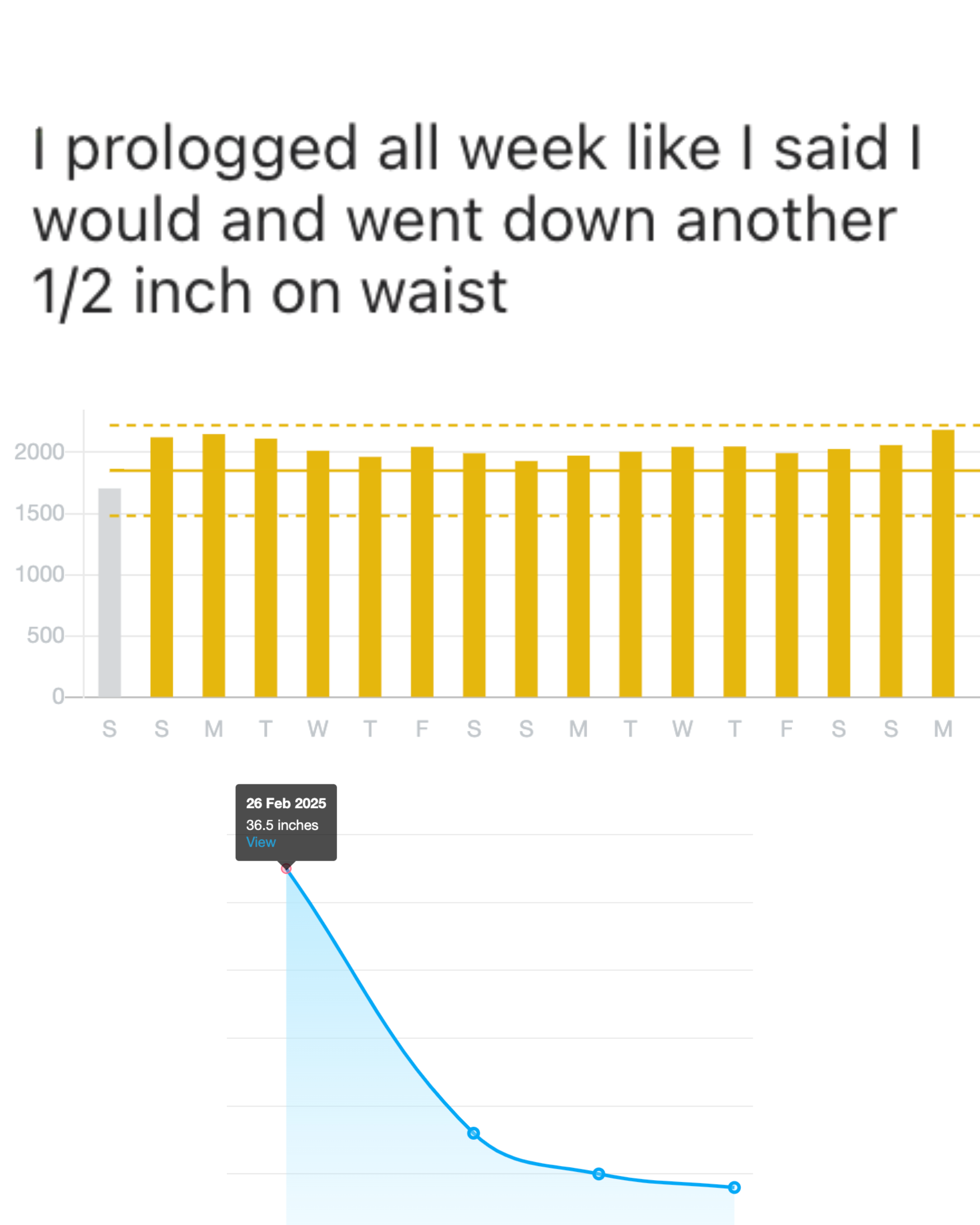 Client testimonial