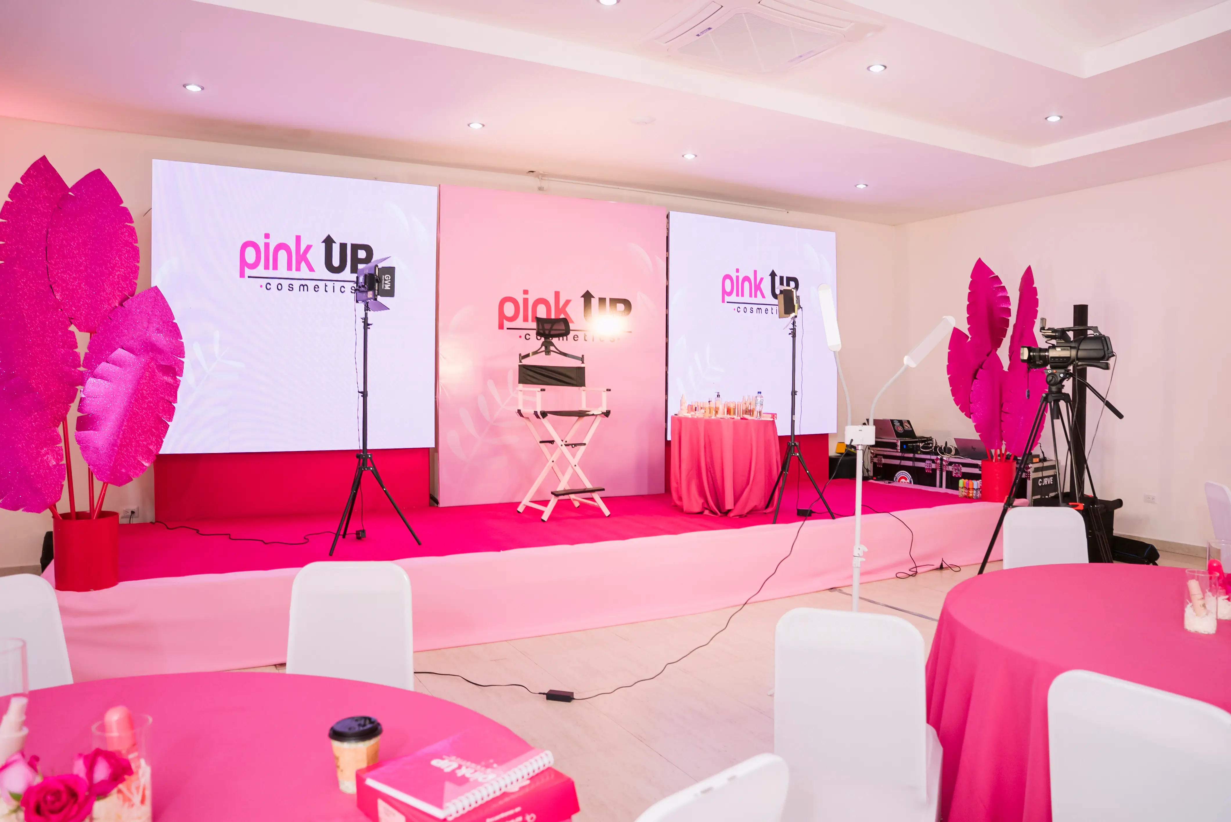 Lanzamiento Pink Up