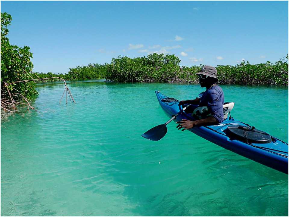 Kayak Eco Tour