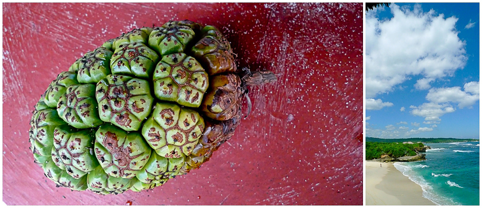 2011 Retrospective Travel Photos by Segerius Bruce Photography (22)