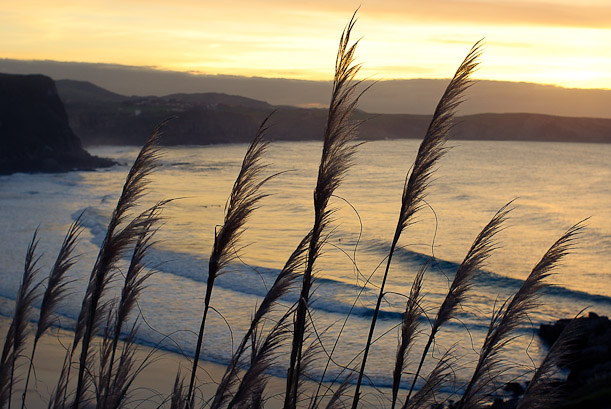 Sunset over Los Locos. Surfing waves in Spain