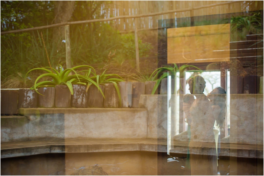 Wonderful Wedding at Hilton Bush Lodge
